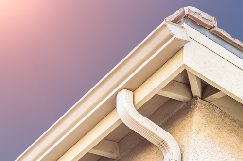 Gutter Cleaning